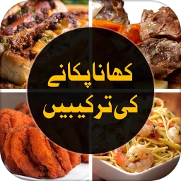 Ícone de Pakistani Food Recipes